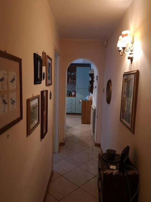 The Trip House - Between The Center And The Sea - Free Wifi And Jacuzzi Catania-Fontanarossai nemzetközi repülőtér Kültér fotó